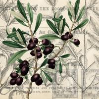 Olive Branch 3 #51327 Olive Branch 3 #51327