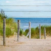 Beach Ready 3 #51394 Beach Ready 3 #51394
