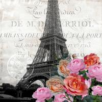 Paris Blooms 1 #51451