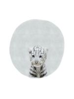 Baby White Tiger #51590