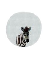 Baby Zebra #51591