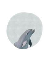 Baby Dolphin Circle #51597