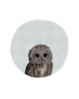 Baby Owl Circle #51598