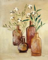 Cotton Still Life II #51623 Cotton Still Life II #51623