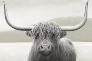 Highland Cow Neutral #51630 Highland Cow Neutral #51630