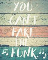 Can't Fake the Funk #51641 Can't Fake the Funk #51641
