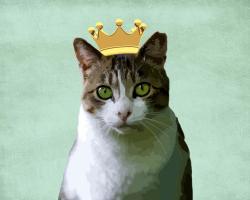 King Waffles #51660 King Waffles #51660