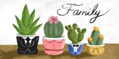 Succulent Family 1 #51712