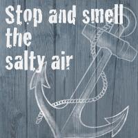 Salty Air 1 #51747 Salty Air 1 #51747