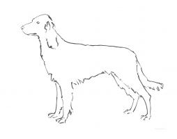 Ink Dog II #51903