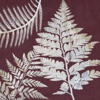 Fern Time 1 #51905 Fern Time 1 #51905