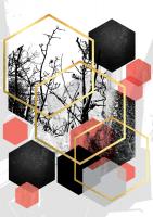 BlackWhiteCoral Geometric #51968 BlackWhiteCoral Geometric #51968