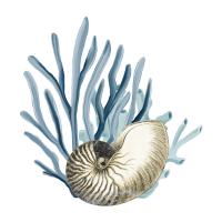 Coastal Coral 2 #52011 Coastal Coral 2 #52011