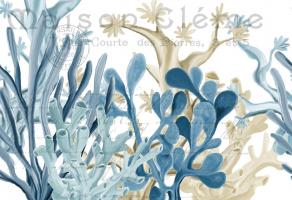 Coastal Coral 1 #52012 Coastal Coral 1 #52012