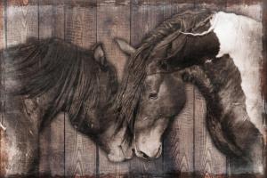 Loving Snuggles 1 #52061 Loving Snuggles 1 #52061