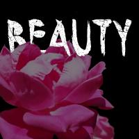 Beauty #52074 Beauty #52074
