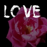 Love #52075 Love #52075