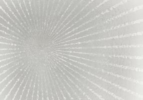 Silver Burst #52277 Silver Burst #52277