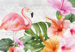 Flamingo Palm #52737 Flamingo Palm #52737