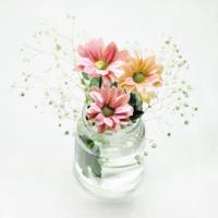 Flowers In A Jar #52862