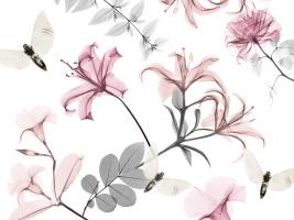 Sweet Nectar 3 #52913 Sweet Nectar 3 #52913