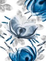 Invigorating Beauty 1 #52915 Invigorating Beauty 1 #52915