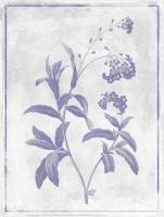 Monochrome Floral Lavender 2 #52976
