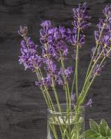 Lavender Jar 2 #53016