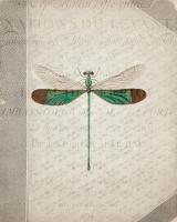 Dragonfly Book 2 #53053