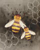 Bee Charmer 2 #53055