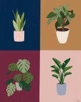 Four Plants #53128 Four Plants #53128