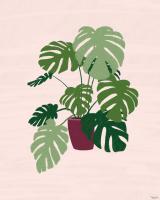 Big Plant #53129 Big Plant #53129