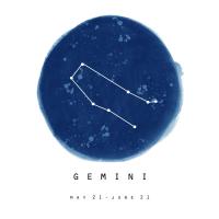 Gemini Sky #53184