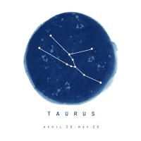 Taurus Sky #53188