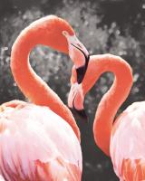 Flamingo II on BW #53203
