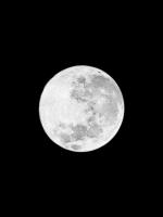 Moons Howl 1 #53239 Moons Howl 1 #53239