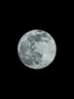 Moons Howl 2 #53240 Moons Howl 2 #53240