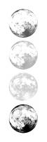 Moon Shade #53250 Moon Shade #53250