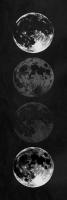 Moon Shade Reverse #53251 Moon Shade Reverse #53251