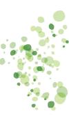 Turtle Spots Mate #53267 Turtle Spots Mate #53267