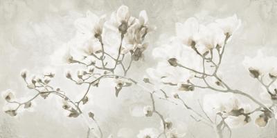 Bloom Through Cream #53270 Bloom Through Cream #53270