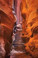 Buckskin Gulch IV #53475