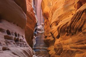 Buckskin Gulch V #53476 Buckskin Gulch V #53476