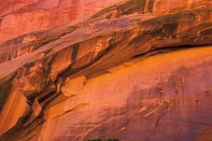 Neon Canyon II #53584