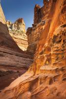 Crack Canyon II #53588 Crack Canyon II #53588