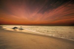 Marthas Vineyard Beach III #53599 Marthas Vineyard Beach III #53599