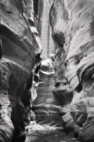 Buckskin Gulch IV BW #53663