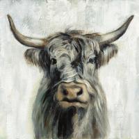 Highland Cow #53710