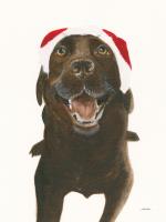 Santa Oscar #53726 Santa Oscar #53726