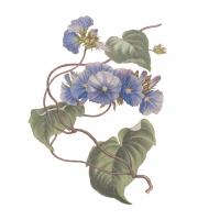 Monument Etching Tile Flowers I #53864 Monument Etching Tile Flowers I #53864